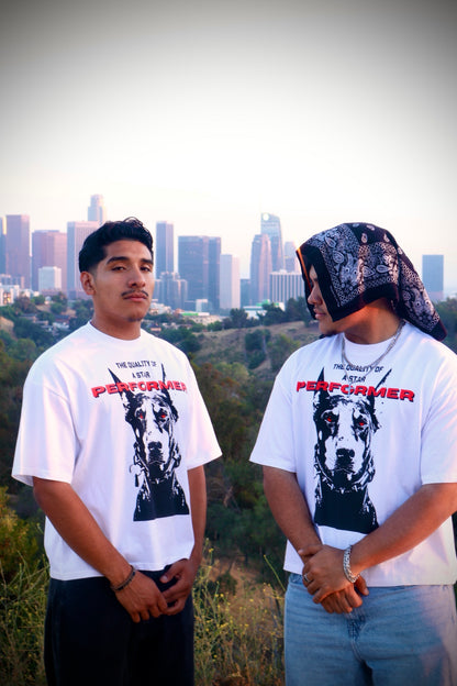 Star Performer Box Crop Tees